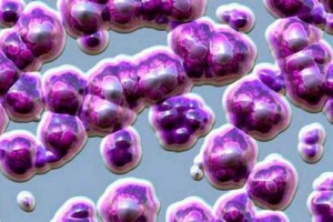 Najciekawsze i ekscytujące fakty dotyczące bakterii